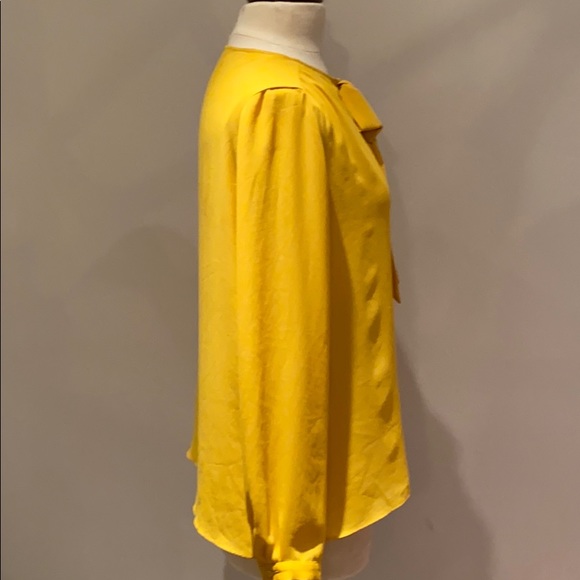 Zara Flowy Semi-Sheer Blouse - Picture 3 of 5